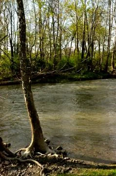 Morrows meadow 写真素材