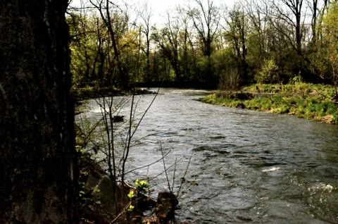 Morrows meadow 写真素材