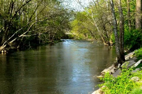 Morrows meadow 写真素材