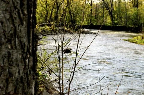 Morrows meadow Fotos Stock