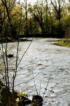 Morrows meadow 写真素材