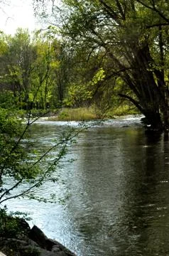 Morrows meadow Stockfoto's