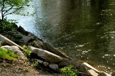 Morrows meadow 写真素材