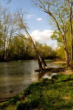 Morrows meadow 写真素材