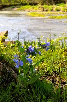 Morrows meadow Stock Photos