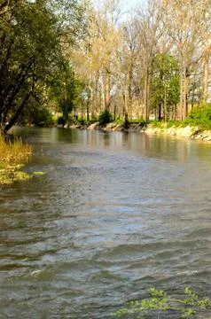 Morrows meadow Фото