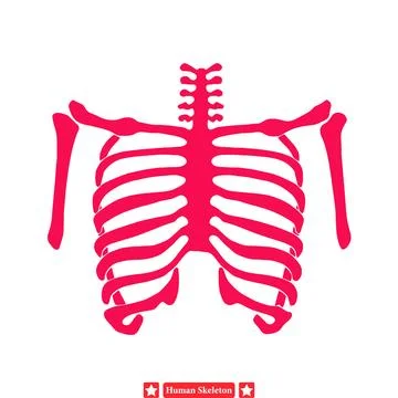 Mortal Marvels  Exquisite Human Skeleton Silhouettes for Tattoo Designers Stock Illustration