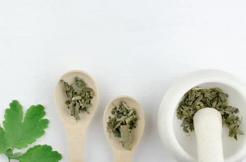 Mortar with dry mint and two wooden spoons on a white background Stock Photos