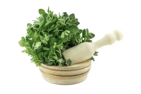 Mortar with fresh thyme herb Stock Photos