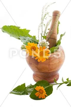 Mortar with herbs and marigolds Stock Photos