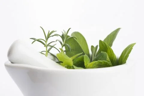 Mortar with herbs isolated on a white background Stock Photos