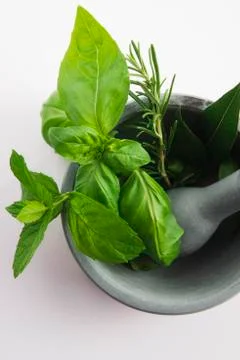 Mortar with herbs isolated on a white background Stock Photos