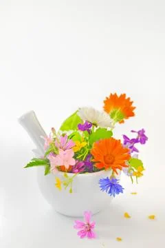 Mortar with herbs Stock Photos