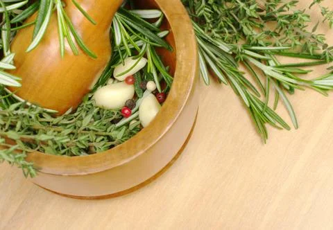 Mortar with herbs Stock Photos