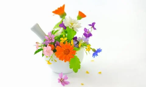 Mortar with herbs Stock Photos