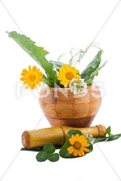 Mortar with herbs Stock Photos