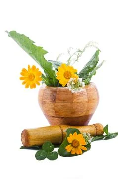 Mortar with herbs Stock Photos