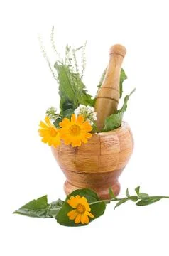 Mortar with herbs Stock Photos
