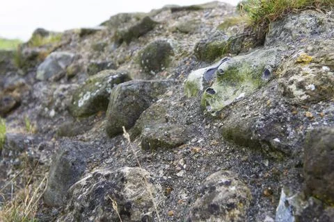 Mortared flint rubble wall Dover Castle Pharos Stock Photos