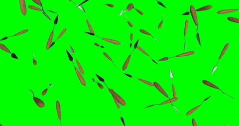 Mortaring Trowel falling slow motion Video stock 251846657