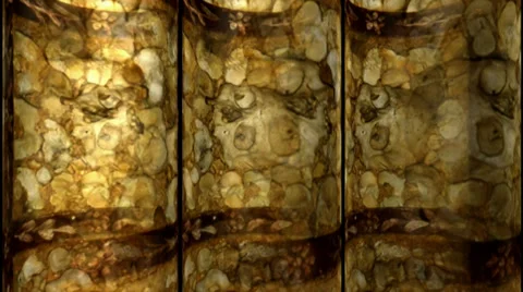 Mortuary Chamber Motion Mapping Видео 32266455