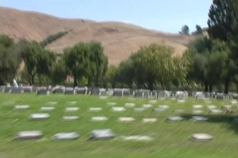 Morturary Video stock 530712