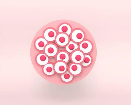 Morula. The Embryo cell of 16 blastomeres Stock Illustration