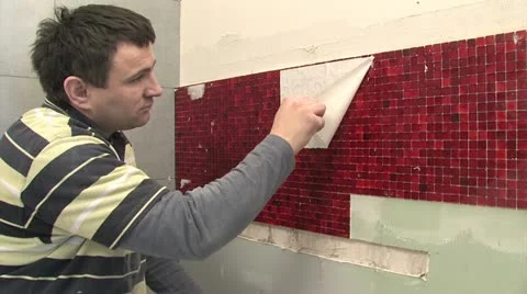 Mosaic 動画素材 11832626