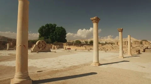Mosaic in Hisham's palace, an archaeological site in Jericho in the West Bank Stock Footage