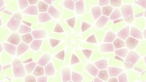 Mosaic Pattern Transitioning into Floral Design. Stock Footage 329816033