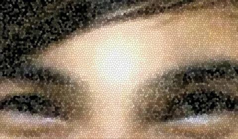 Mosaic pixel face. Stock Photos