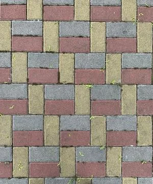 Mosaic surface of rectangular multi-colored elements with fallen maple wings. Stock Photos