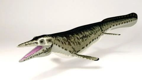 Mosasaur Stock Illustration