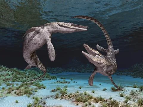 Mosasaur Tylosaurus Stock Illustration