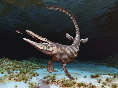 Mosasaur Tylosaurus Stock-Illustration