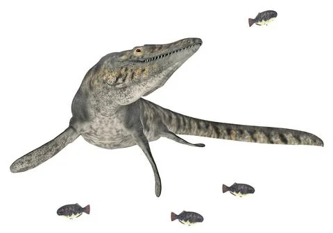 Mosasaur Tylosaurus isolated on white background Stock-Illustration