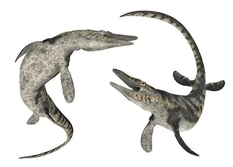 Mosasaur Tylosaurus isolated on white background Stock Illustration