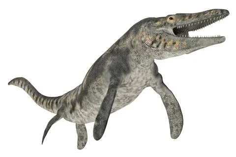 Mosasaur Tylosaurus isolated on white background Stock Illustration