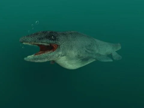 Mosasaurus イラスト素材