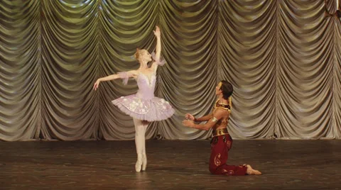 Moscow ballet Stock Footage 35547165