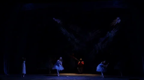 Moscow ballet star Stock Footage 33442575