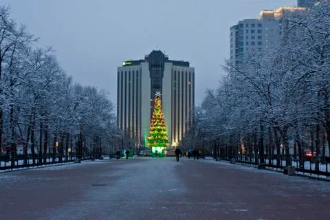 Moscow, christmas tree Stock Photos