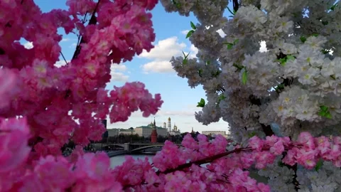 Moscow Kremlin at Easter Stock Footage 244341546