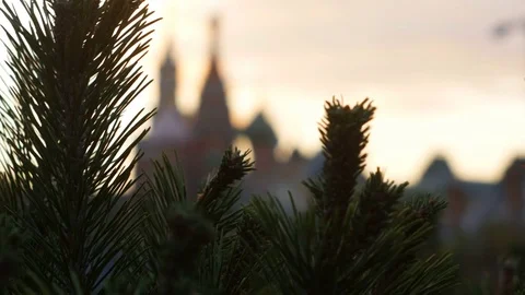 Moscow Kremlin at sunset Video stock 81326273