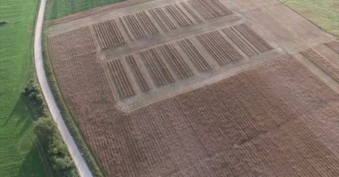 Moscow oblast, Russia. Wheat fields on top. Stock Footage 79178368