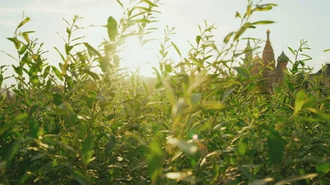 Moscow, Red Square, Kremlin and Park Stockbeeldmateriaal 89809062