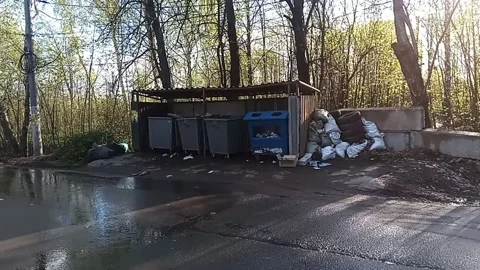 Moscow region. Garbage cans by the road Stock Footage 239905366