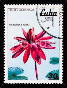 MOSCOW, RUSSIA - AUGUST 29, 2017: A stamp printed in Cuba shows Nymphaea lotu Stock Photos