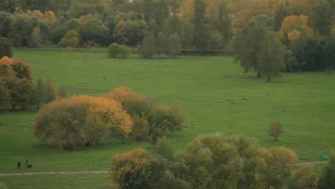 Moscow Scene Park Stock Footage 8640663