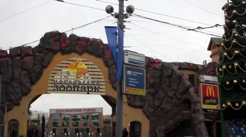 Moscow zoo Video stock 45476651